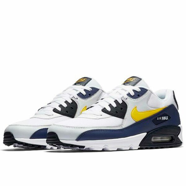 nike air max 90 essential michigan AJ1285_101